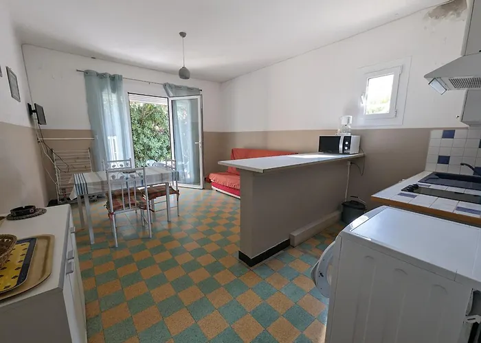 Apartamento : T2 Proche Plage, Terrasse, Parking, Clim, Bbq, Lave-linge, 4 Pers, Classé 2* - Fr-1-797-17